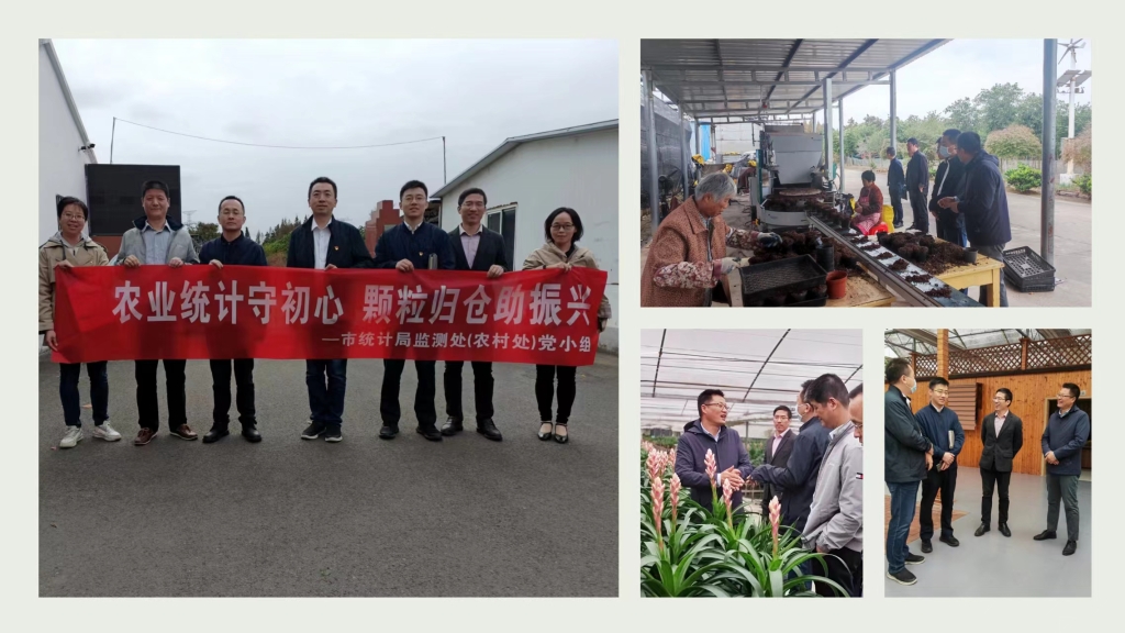 农业统计守初心 颗粒归仓助振兴——市统计局二支部监测处（农村处）党小组深入学习宣传贯彻党的二十大精神